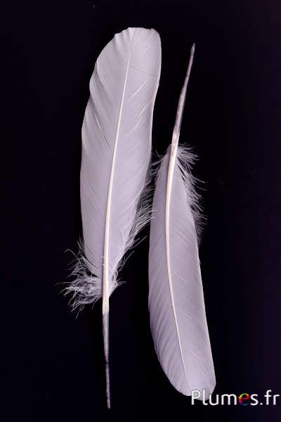 Cygne Soie - 25-30 cm - gris